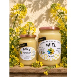 Miel de colza