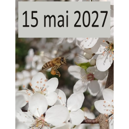 Atelier apiculture du 15 mai 2027
