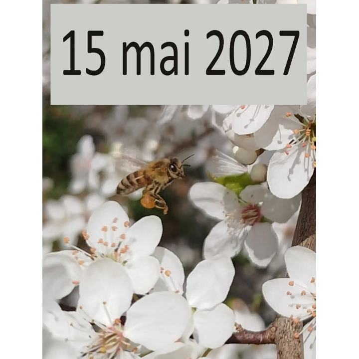 Atelier apiculture du 15 mai 2027