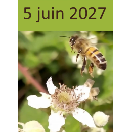 Atelier apiculture du 5 juin 2027