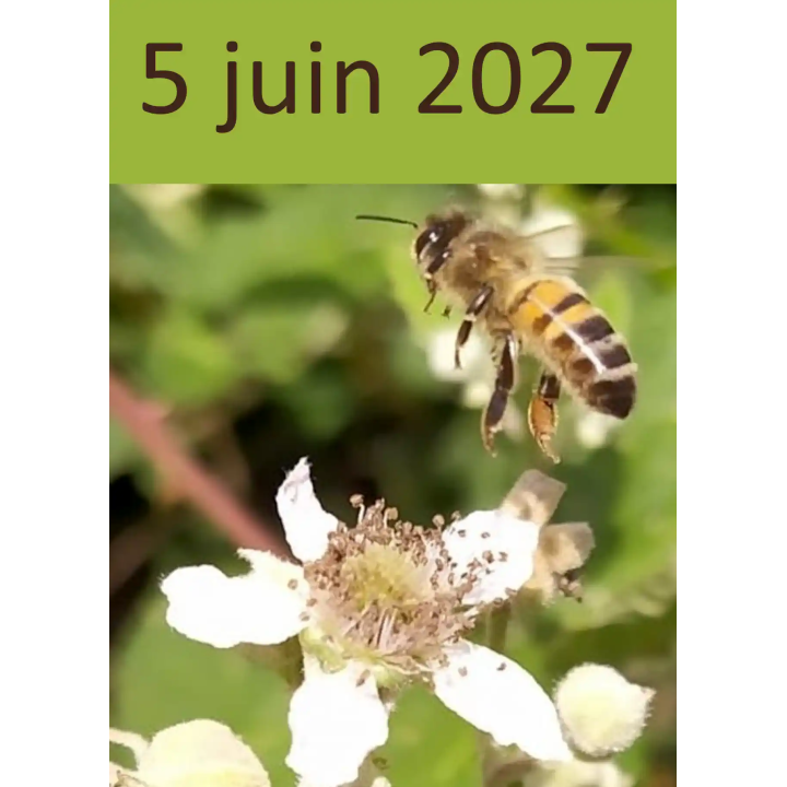 Atelier apiculture du 5 juin 2027